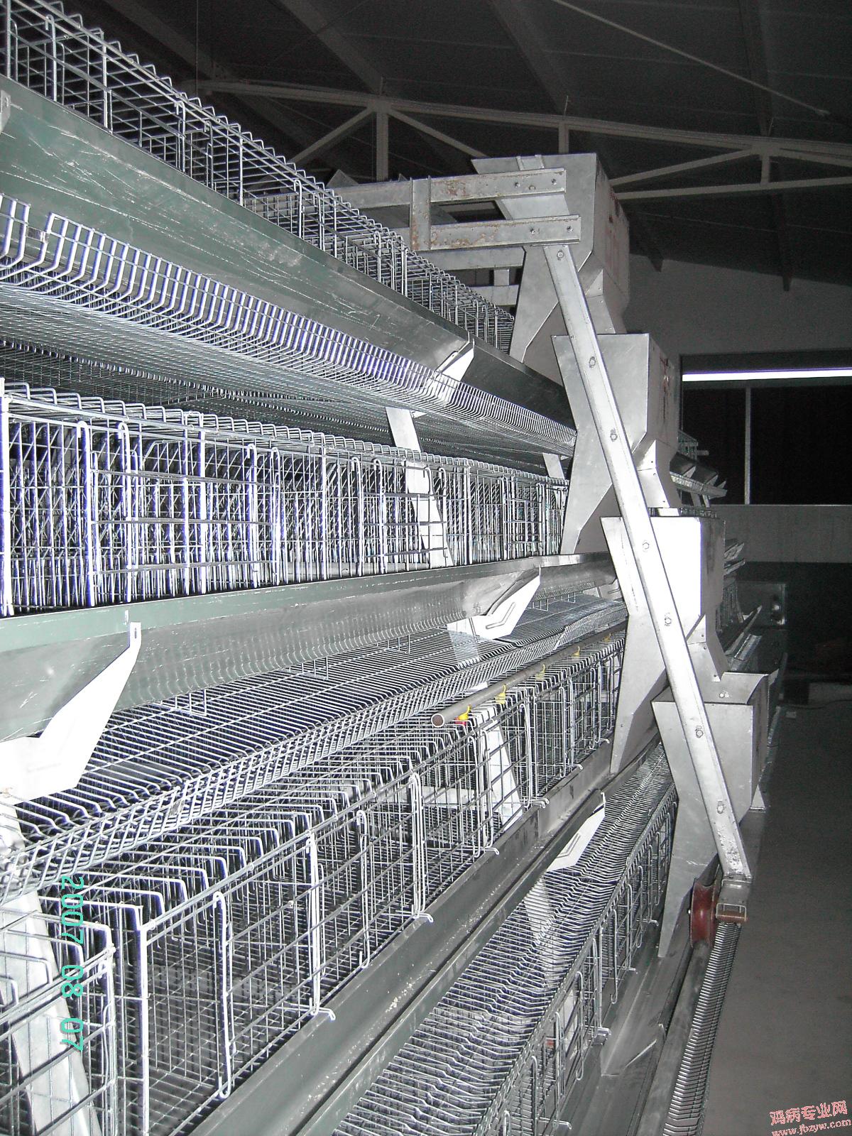 PICT0468.JPG