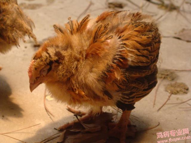 DSC01813.JPG