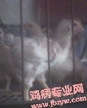 10_68312_6f902acc504c3e1.jpg