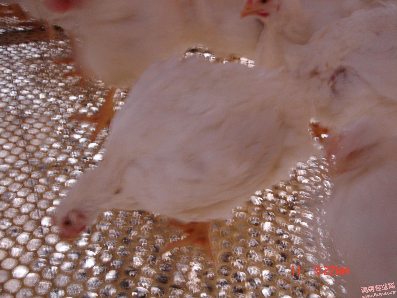 DSC03127.JPG