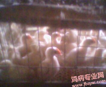 IMG0147A.jpg