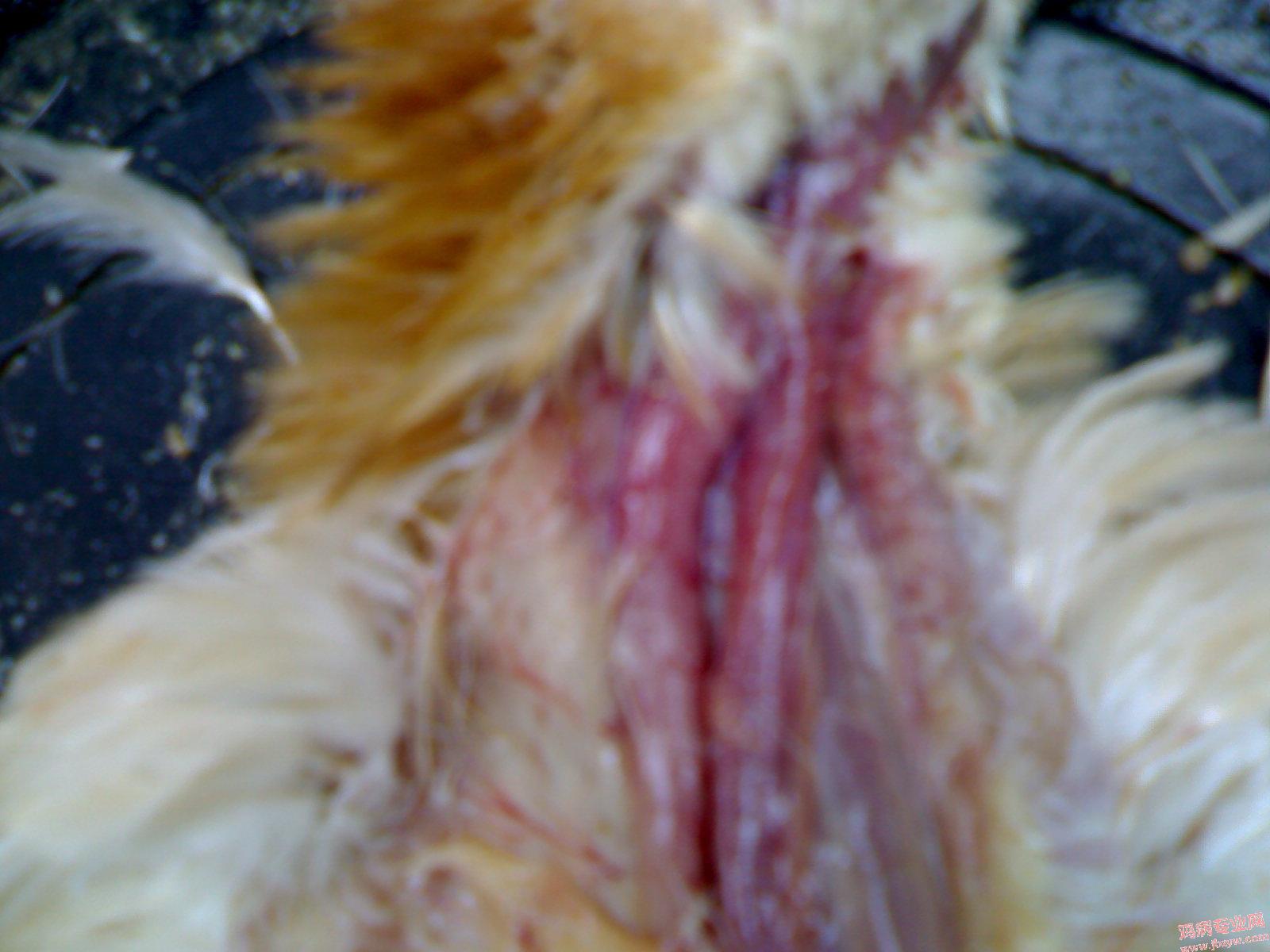 200905121543.jpg