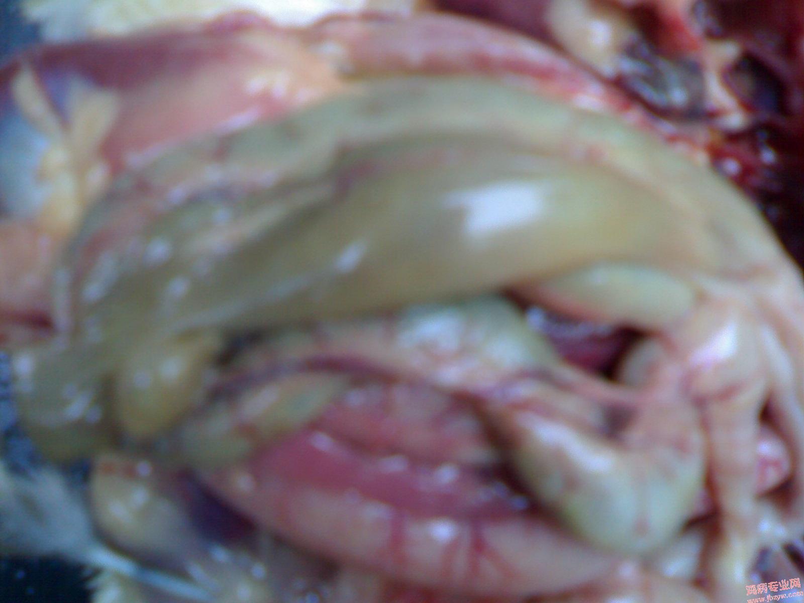 200905121557.jpg