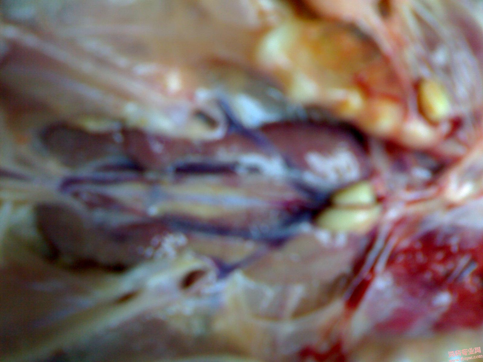 200905121564.jpg