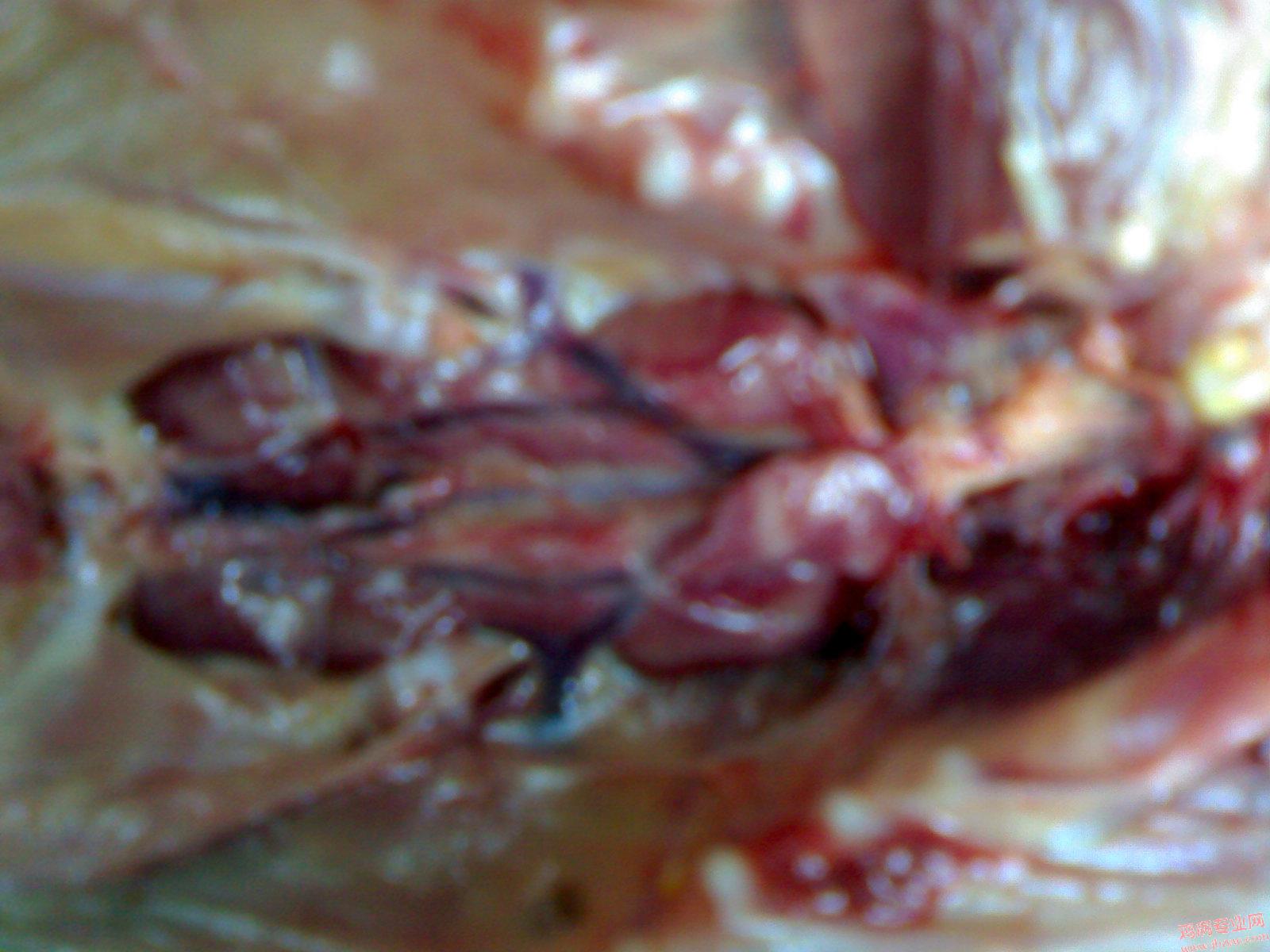 200905121556.jpg