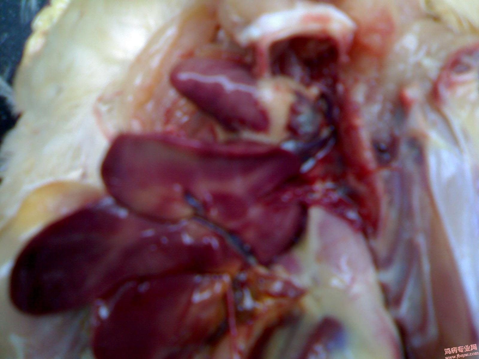 200905121549.jpg