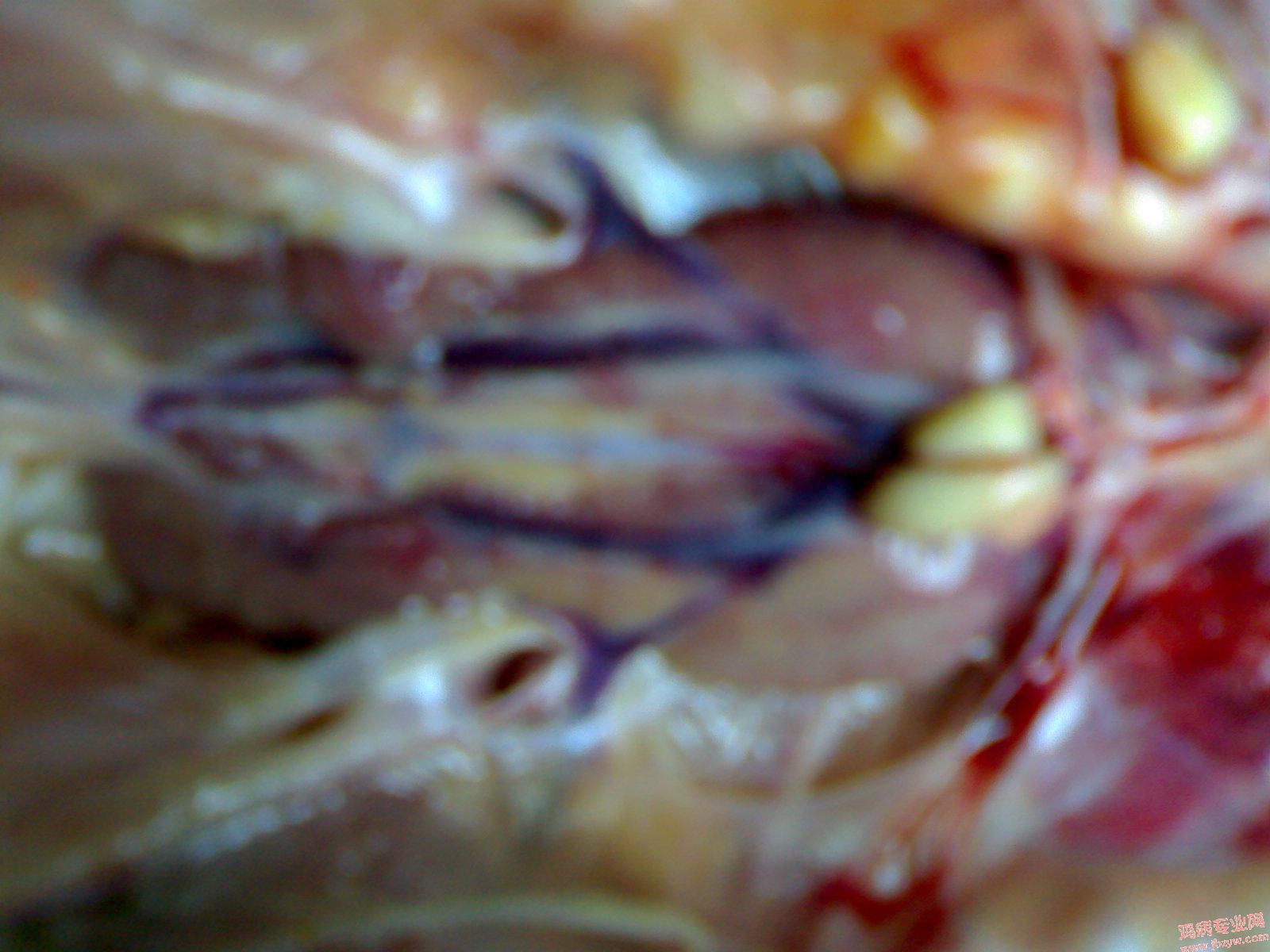 200905121565.jpg
