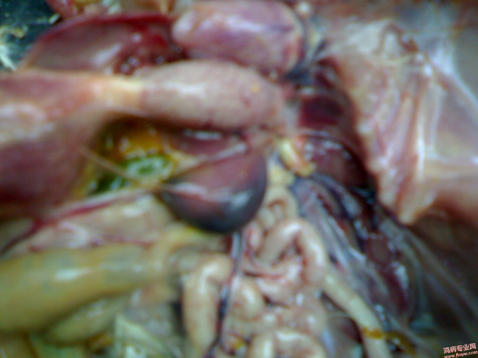 200905121561.jpg