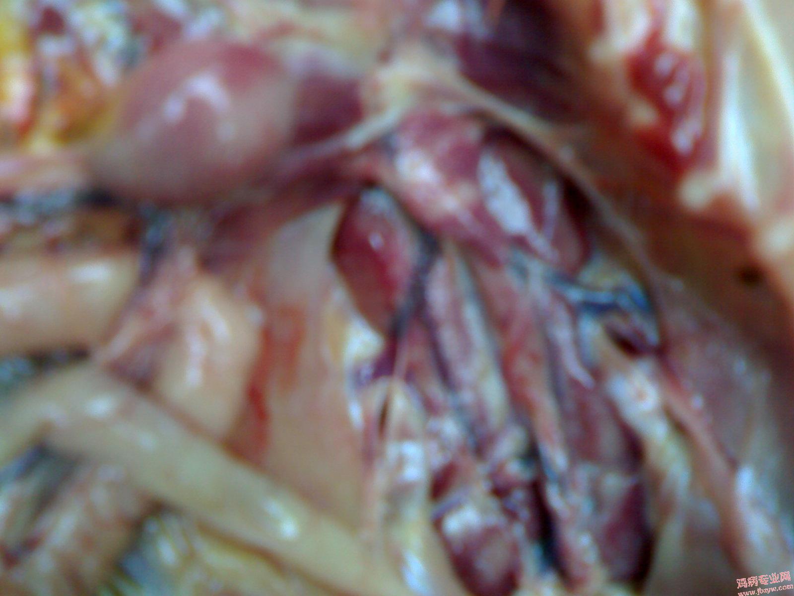 200905121554.jpg
