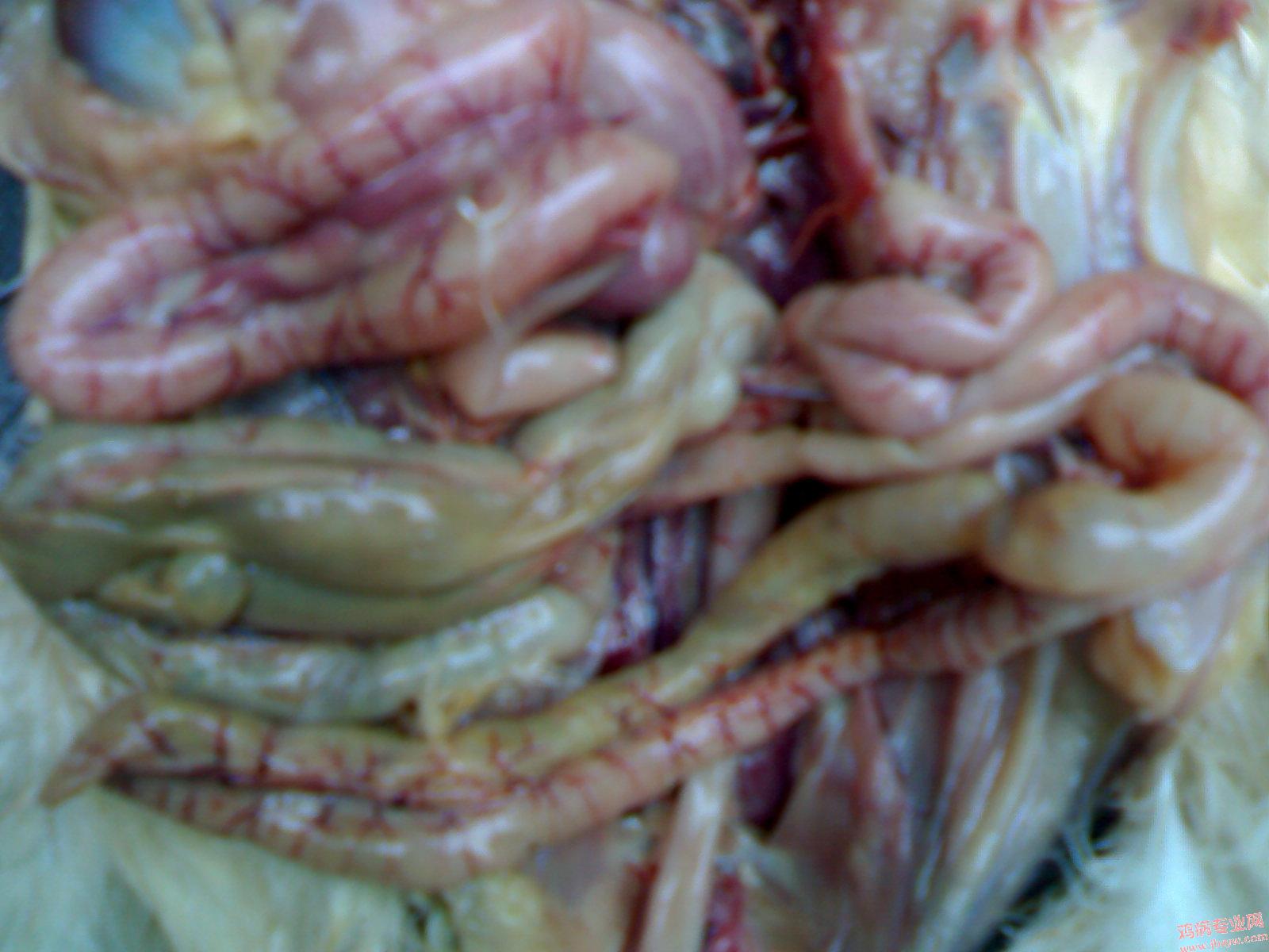 200905121552.jpg