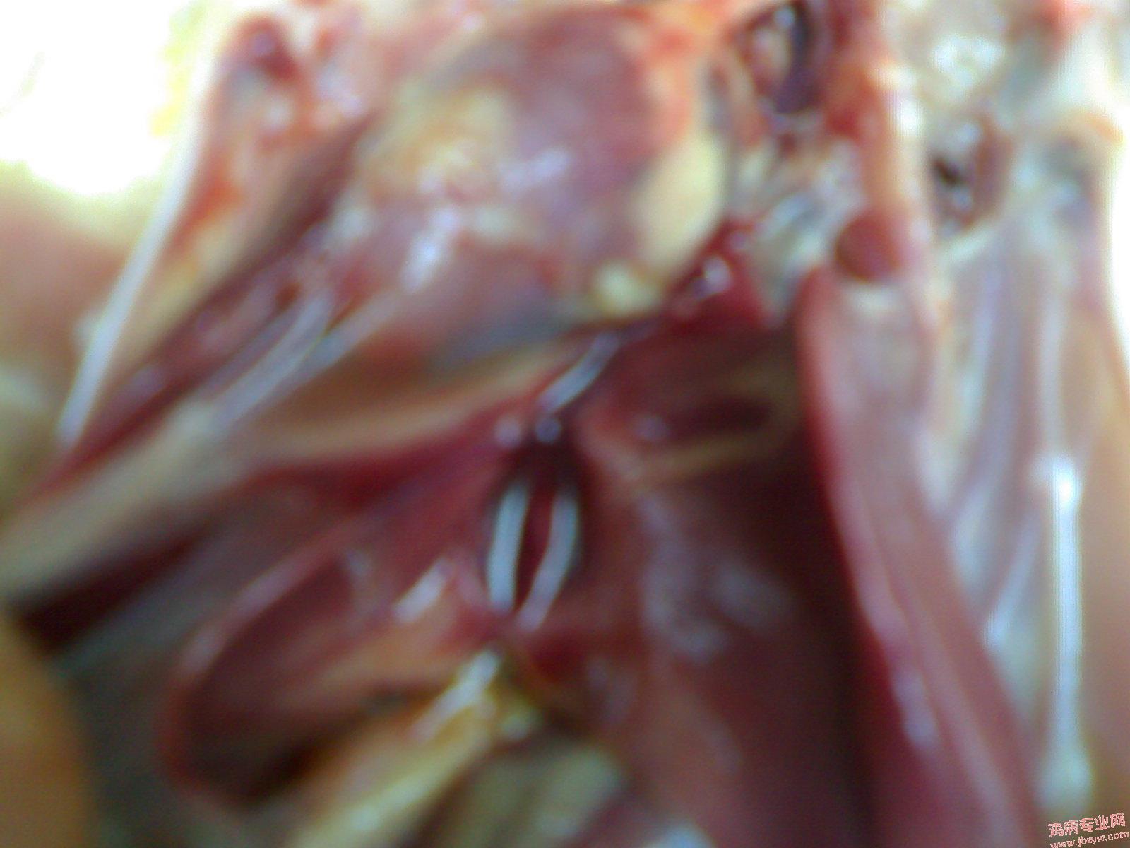 200905121548.jpg