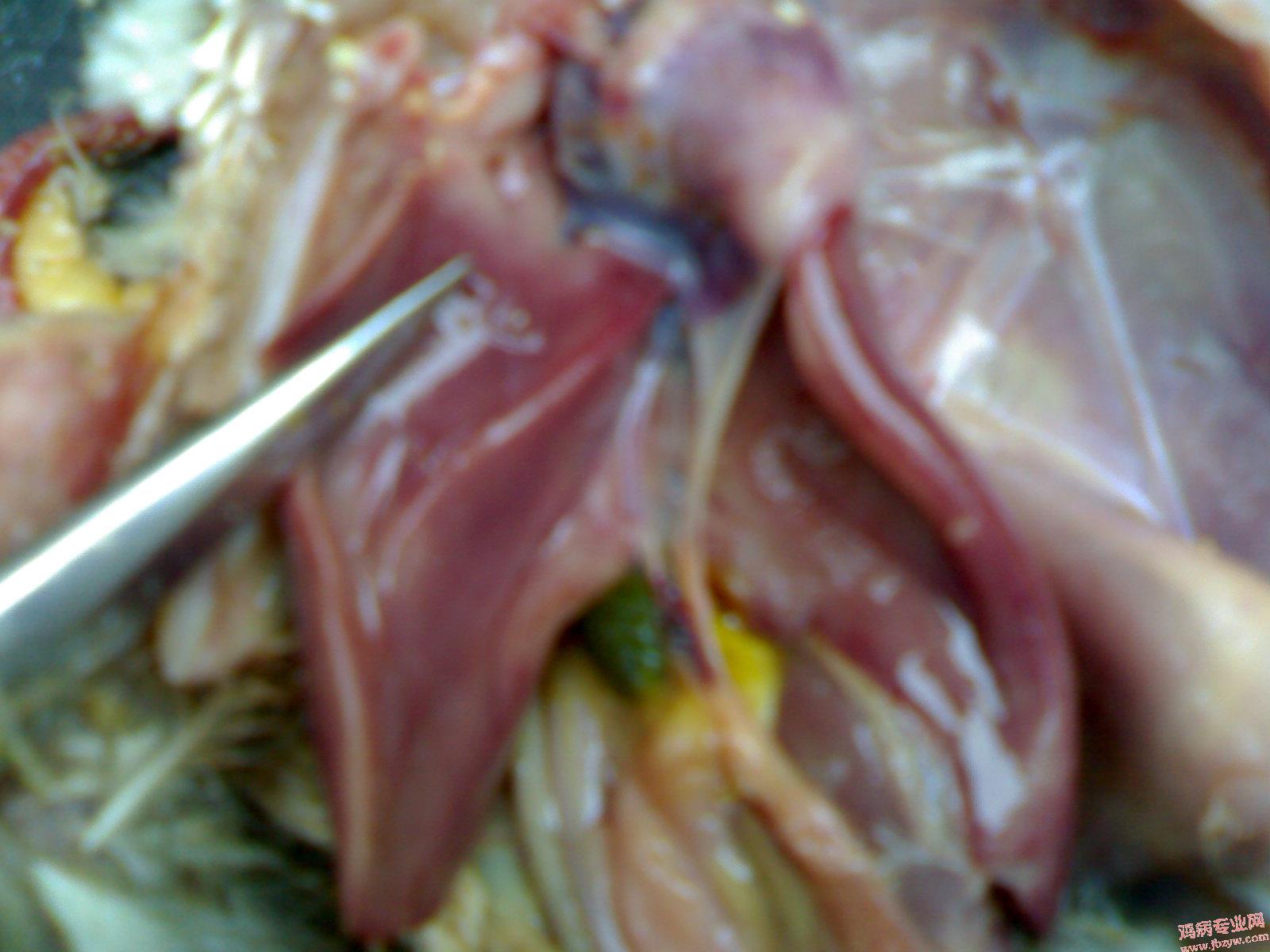 200905121559.jpg