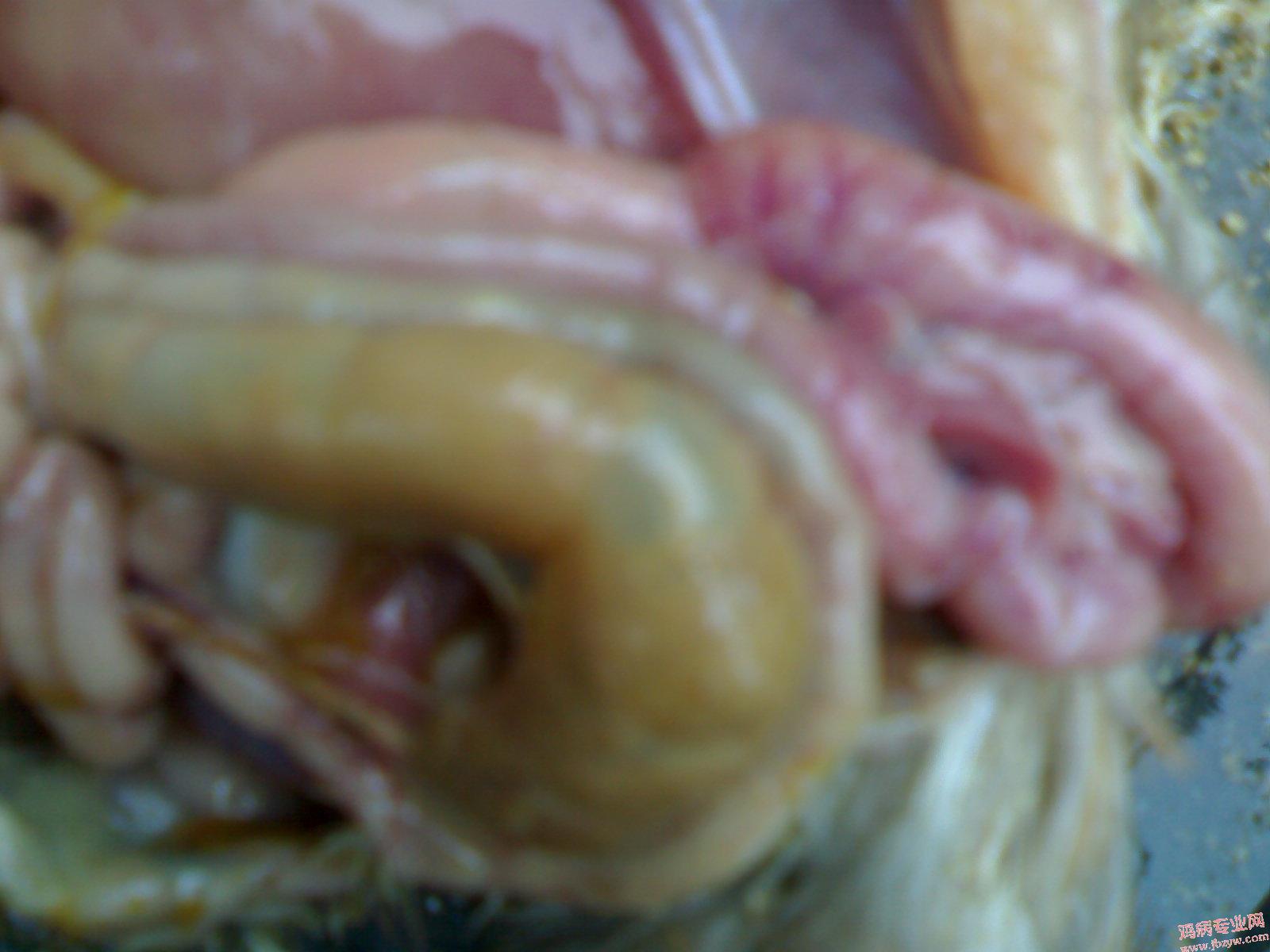 200905121560.jpg