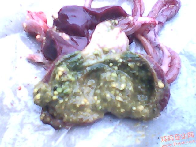 IMG0199A.jpg