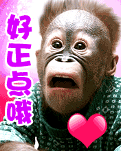 65_58334_13519aa5c8417a4.gif