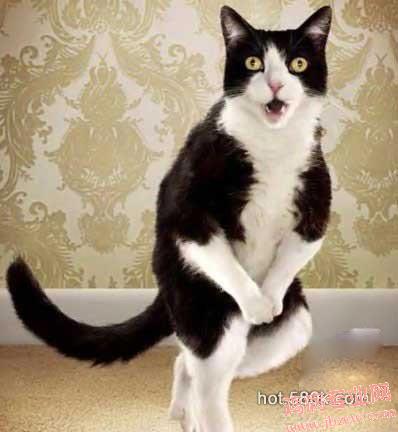 ۿ!~ Ȼ͵ҵ߹.......зߺ!