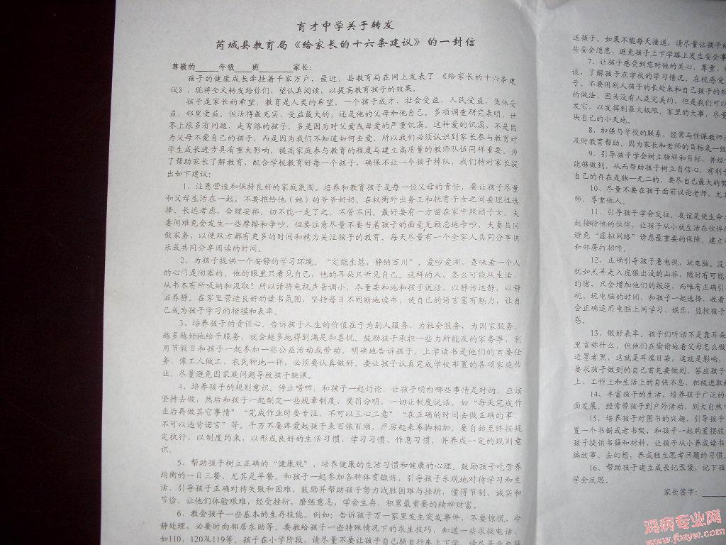 161.jpg