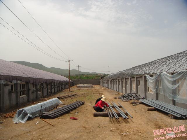 DSC00342.JPG