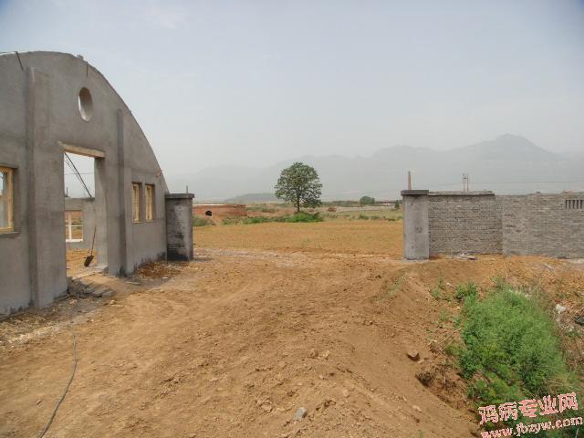 DSC00343.JPG