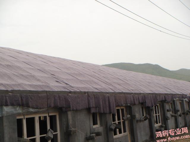 DSC00339.JPG