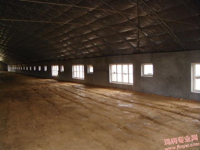 DSC00334.JPG
