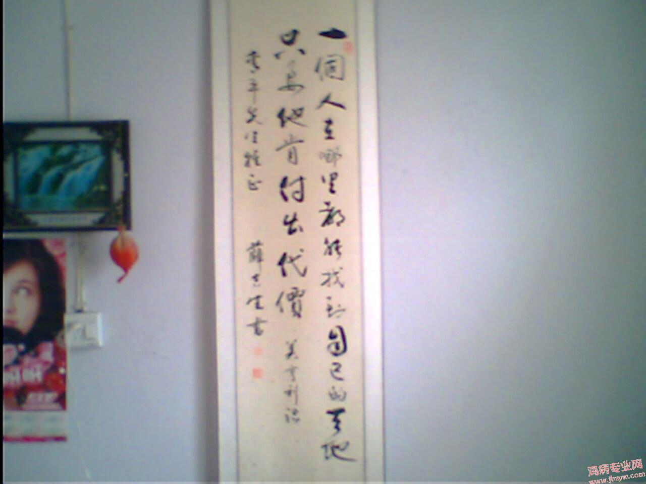 IMG0795A.jpg