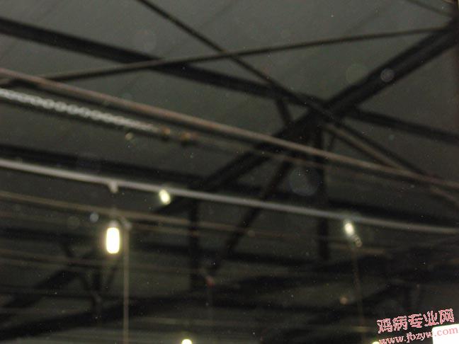 SNV82199.JPG