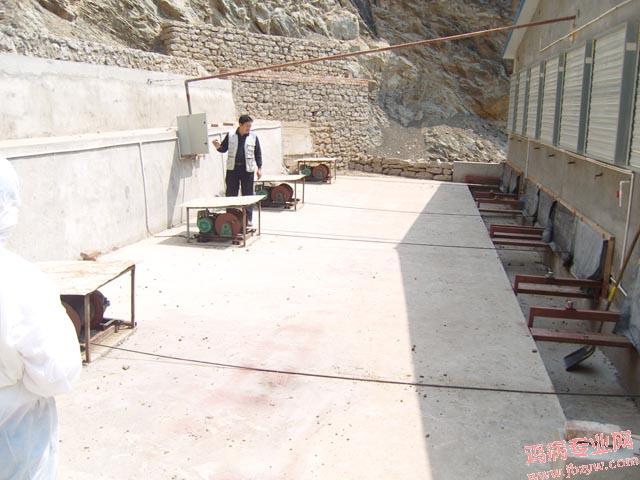SNV82243.JPG