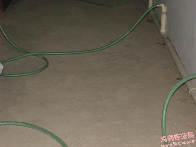 SNV82237.JPG