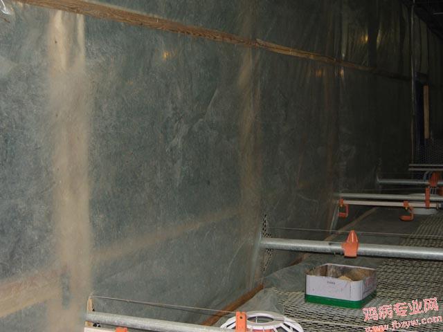 SNV82233.JPG