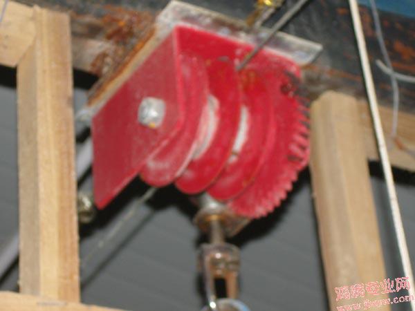 SNV82221.JPG