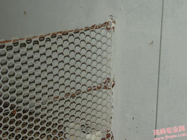 SNV82239.JPG