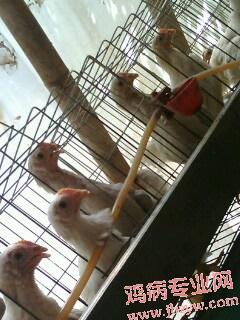 IMG0298A.jpg