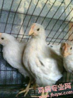 IMG0283A.jpg