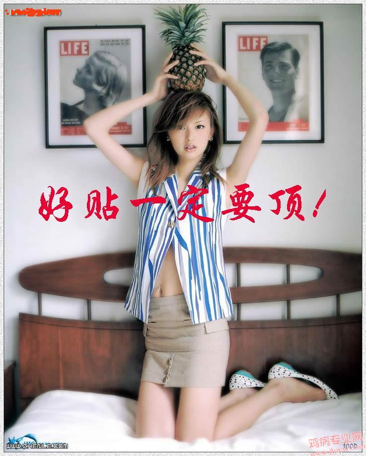 33_46666_abb90ddcd235024.jpg