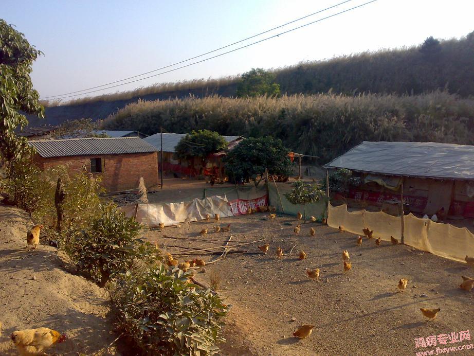 20090110537.jpg