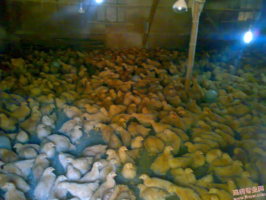 20090110547.jpg