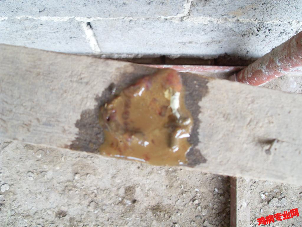SDC12589.JPG