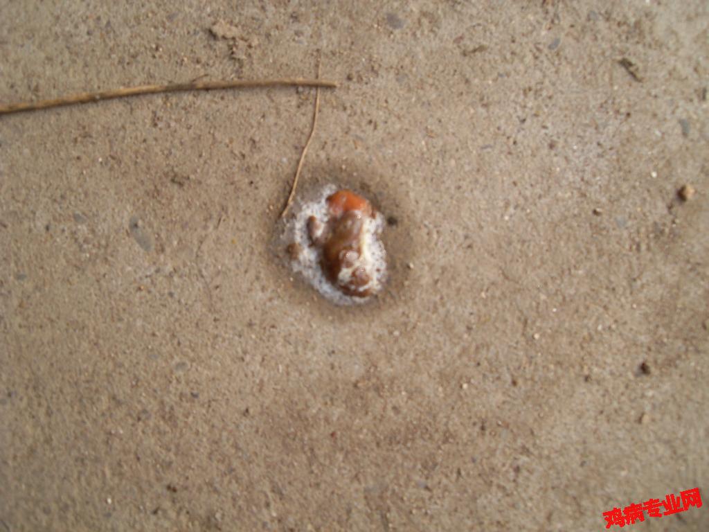 SDC12573.JPG