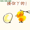 1352.gif