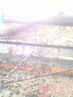 IMG0067A.jpg