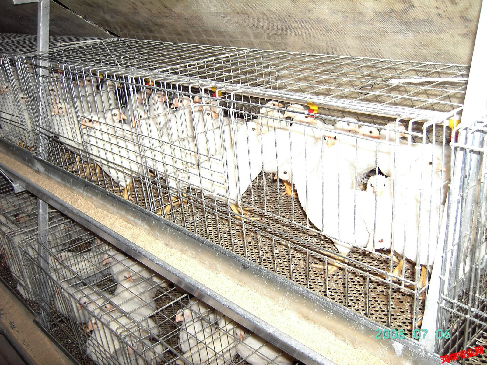 PICT2261.JPG