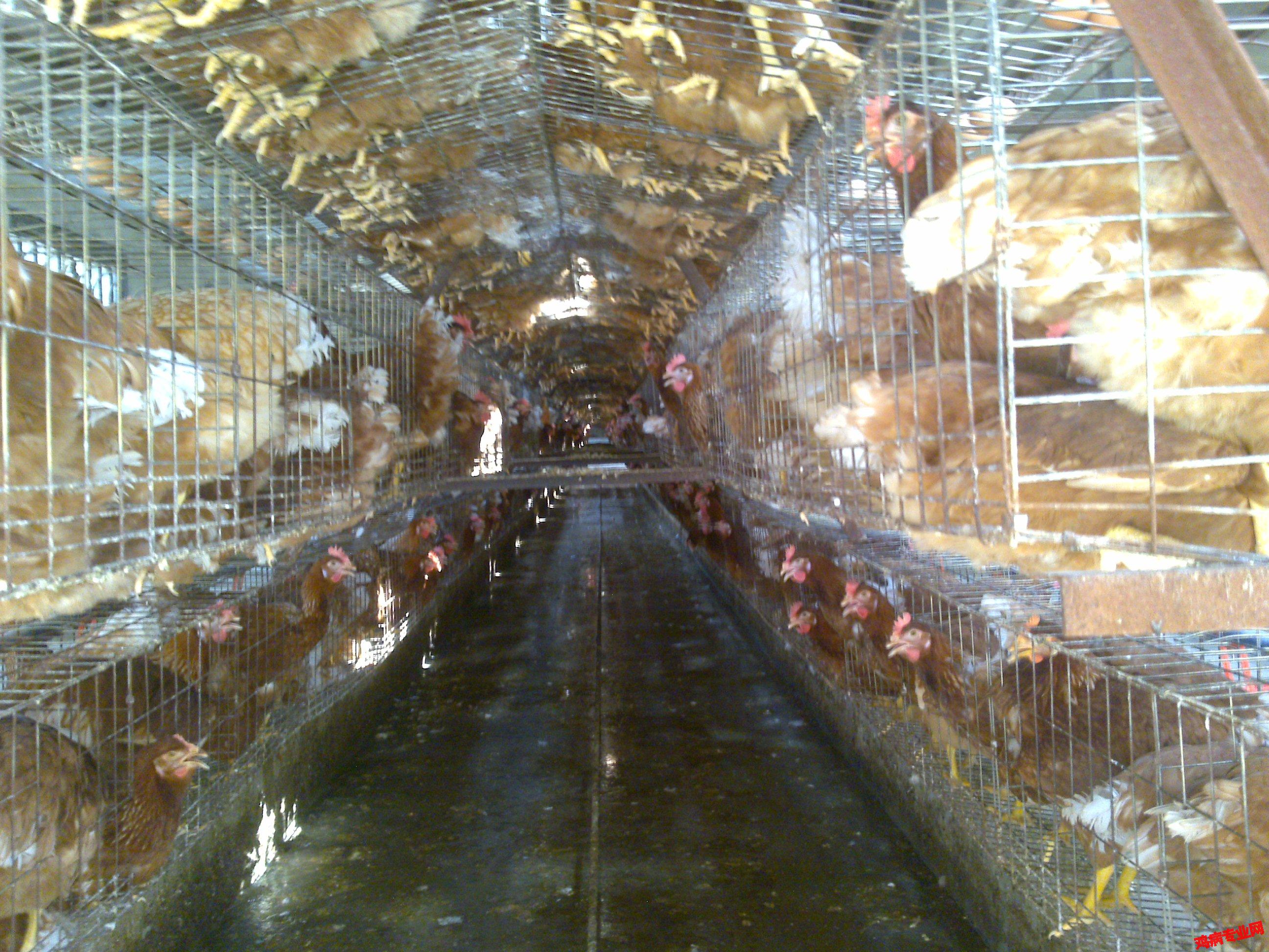 20090626316.jpg
