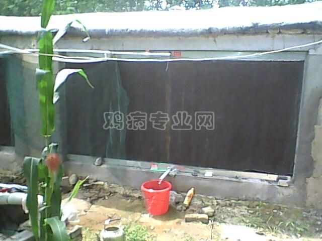 IMG0046A.jpg