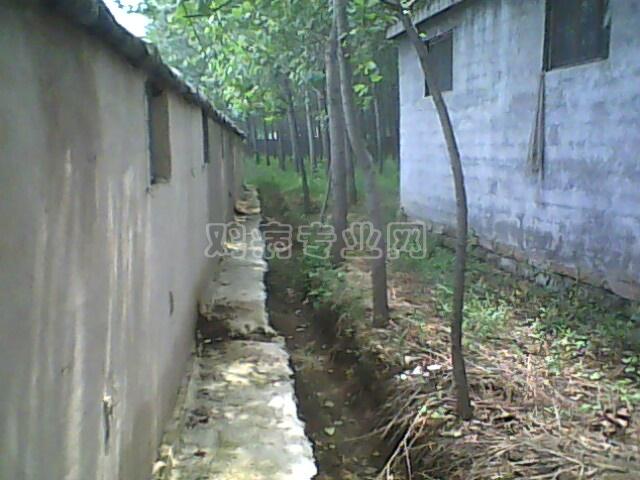 IMG0042A.jpg