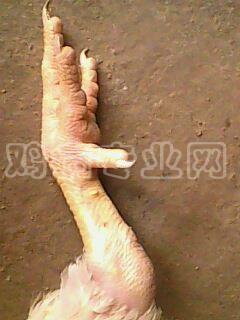 IMG0056A.jpg