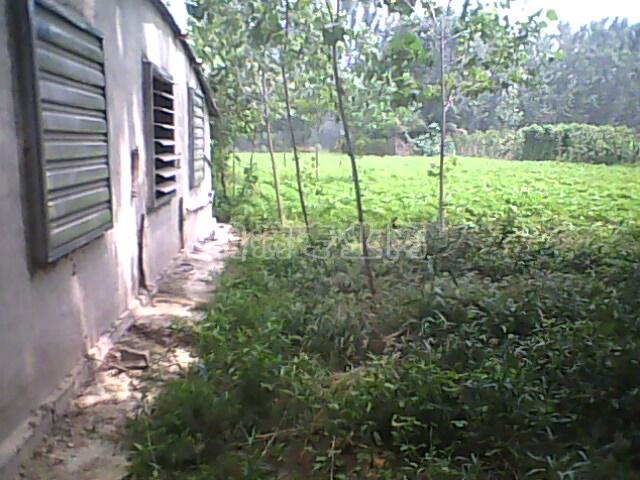 IMG0044A.jpg