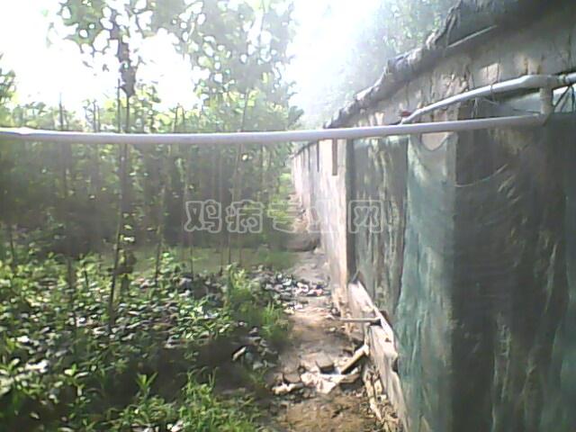 IMG0040A.jpg