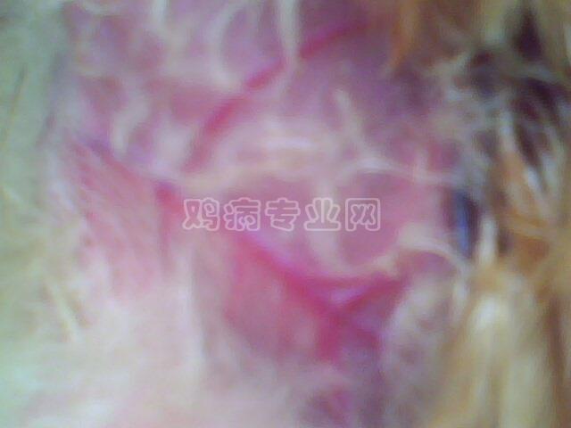 IMG0030A.jpg