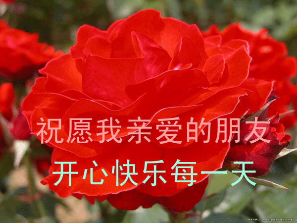 ÿһ졾.gif